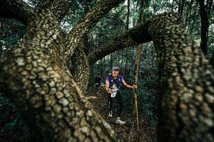 BIB: 
                            <button type="button" onclick="openModal(25394245)" class="btn btn-primary btn-sm float-right btn-popup" data-toggle="modal" data-target=".modal-high-quality">
                        <i class="fas fa-shopping-cart"></i> Add to Cart
                    </button>
                                            <button type="button" onclick="isThisMe(25394245, true)" class="btn btn-success btn-sm float-right btn-popup btn-isme hidden" data-toggle="tooltip" data-placement="bottom" title="นี่คือรูปของคุณใช่ไหม คลิกที่นี่เพื่อเอาเข้าอัลบั้ม">
                        <i class="fas fa-plus"></i> Add to album
                    </button>
                    <button type="button" onclick="isThisMe(25394245, false)" class="btn btn-warning btn-sm float-right btn-popup btn-isnotme hidden">
                        <i class="fas fa-ban"></i> Remove from album
                    </button>